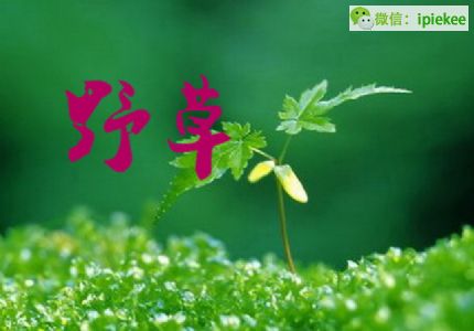 朗诵,野草,逸宫,朗诵,普通话测试